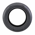 Opona całoroczna Austone All Season Fixclime SP-401 225/55 R19 rzut z boku